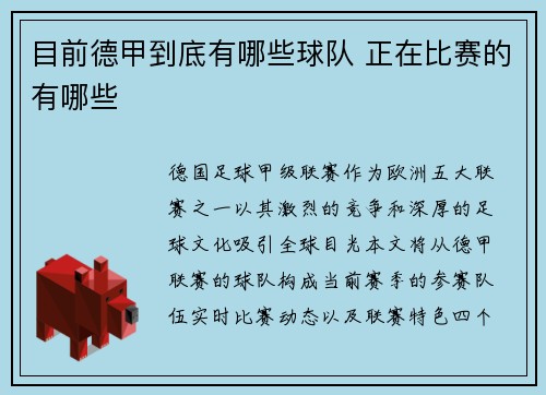 目前德甲到底有哪些球队 正在比赛的有哪些